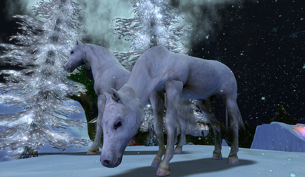 Snapshot_048