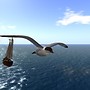 Sailing in Caledon