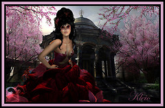 Blossom Garden