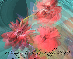 BLOOMS_004-1