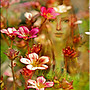 Summer Flowers