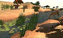 African Adventure