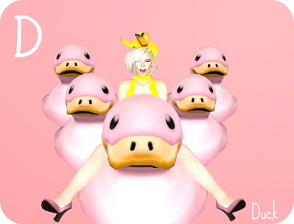 D is for Duck
