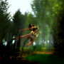 Pie's Forest 2