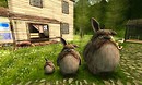 HBLYS_Gmok the wise - Torley Linden