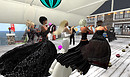 don_011