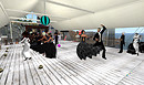 don_004