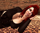 Carpet Lounge