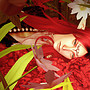 lost in flowers
