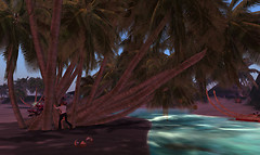 Polynesia