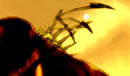 Dragon shadow