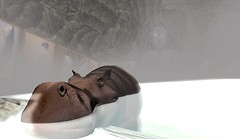 HIppo and Buddha - sage Proto
