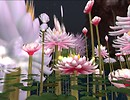 LillyHeaven