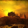 Always the Sun