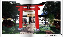 Irezumi-ya_book