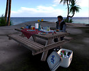 Evening picnic was ready