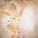 Fairy