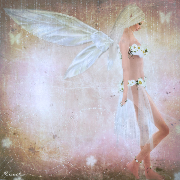 Fairy