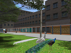 uni of wa_021 1024