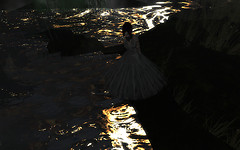 Lighting changes water embelishments