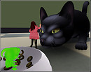 stop it don't eat the Greenie