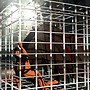 Caged.....