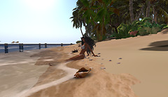Beach paradise