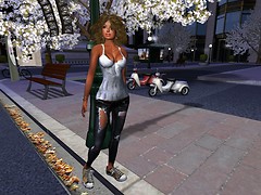Snapshot_003