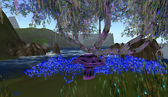 Land of the purple mushroom