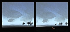 China_bamboo