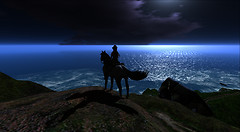 Snapshot_055