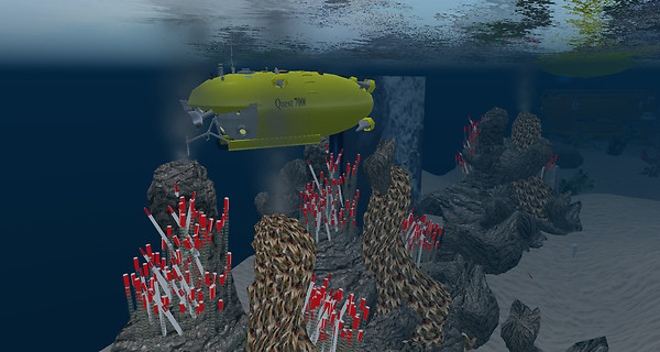Quest 7000 and Tube worm colony - NASA eEducation