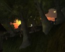Snapshot_065