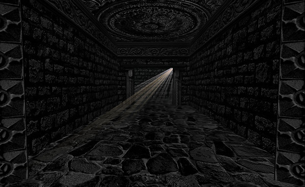 Dark Hall Rays