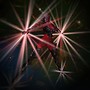 Fire Dancer - Elven Forest (2)