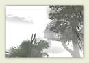Around a chinese house in a tree...