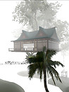 Around a chinese house in a tree...