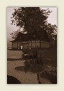 Around a chinese house in a tree...