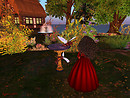 Serenity falls Little dragon garden
