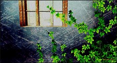 window glow