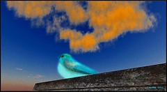 Snapshot_001