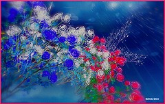 french flag colors