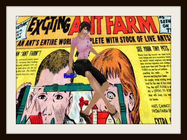 Now! Your Own Ant Farm!