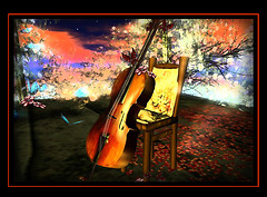 Musical Memories