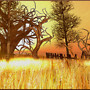 Snapshot_009