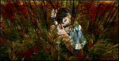 hidden in the ferns