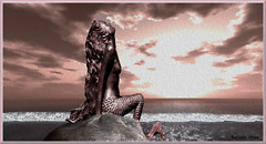 Snapshot_006