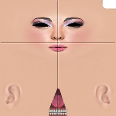 Как сделать скин в second life Как сделать скин в second life
