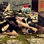 snapshot_99548514_5957346c