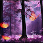 flying butterflies